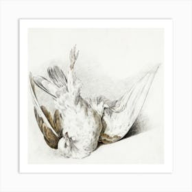 Dead Pigeon, Jean Bernard Art Print