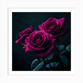 Dark Roses 3 Art Print