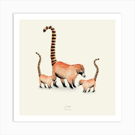 Coati Art Print