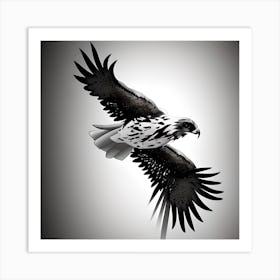 Eagle In Flight Art Print