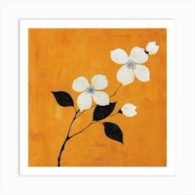 White Dogwood Art Print