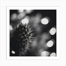 Cactus black and white Art Print