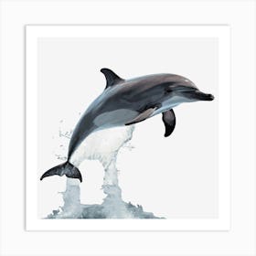 Dolphin Jumping Out Of Water Art Print