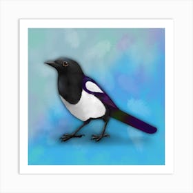 Magpie digital illustration Art Print