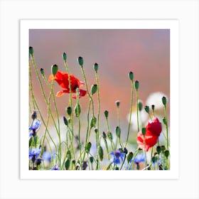 Spring flowers 2 Art Print