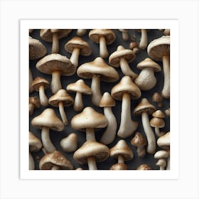 Many Mushrooms On A Black Background 7 Art Print