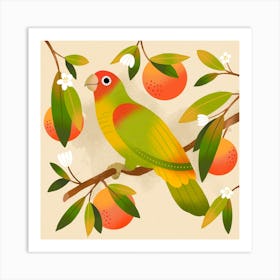 Tangerine Parrot Square Art Print