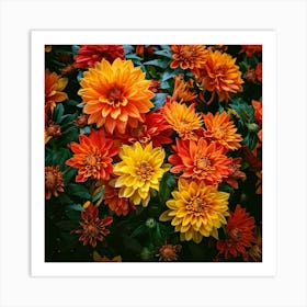 Firefly Bold And Bright Floral Display Vibrant Flowers With High Contrast For A Striking Appearance (10) Poster