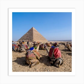 Camels In Front Of Pyramids Art Print