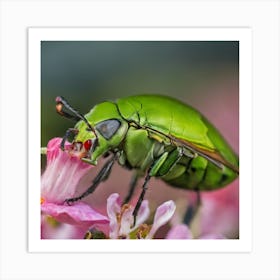 Beetle On Pink Flower 1 Art Print