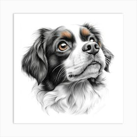 King Charles Cavalier Art Print