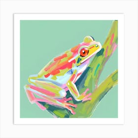 Red Eyed Tree Frog 04 Art Print