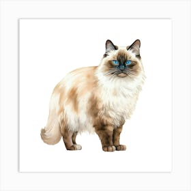 Siamese Cat 4 Art Print