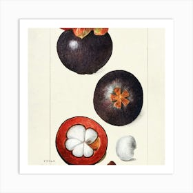 Passion Fruit Art Print