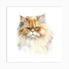 Persian Cat Portrait 2 Art Print