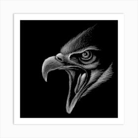 Eagle Head Art Print