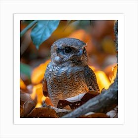 Owl In Autumn Leaves Art Print