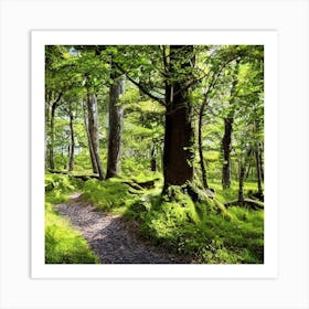 Mossy Forest Path Art Print