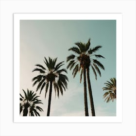 Default Palm Trees In Art Print 1 Art Print