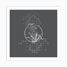 Vintage Cheiranthus Flower Botanical with Line Motif and Dot Pattern in Ghost Gray n.0150 Art Print