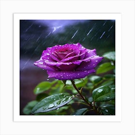 Purple Rose In Rain Art Print