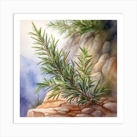 Rosemary Growing Between Rock Art Print