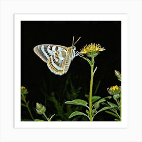 Moths Insect Lepidoptera Wings Antenna Nocturnal Flutter Attraction Lamp Camouflage Dusty (3) Art Print