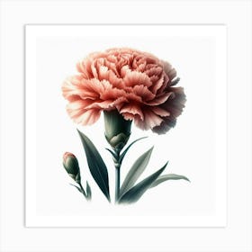 Carnation Flower 6 Art Print