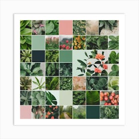 Green And Pink Plants Art Print