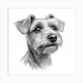 Lakeland Terrier 1 Art Print