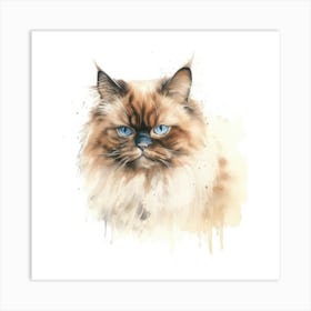 Chocolate Point Himalayan Cat Portrait 3 Art Print