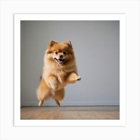 Pomeranian Dog Jumping Art Print