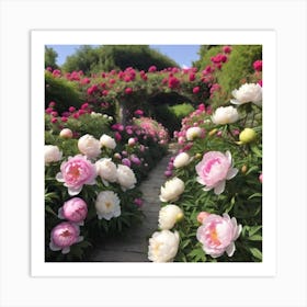 Peonies In The Garden Art Print