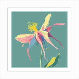 Columbine 2 Square Flower Illustration Art Print