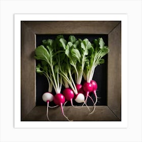 Radishes 32 Art Print