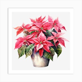 Poinsettia 25 Art Print