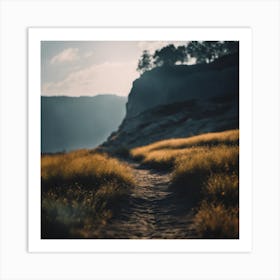 Path In The Grass Art Print