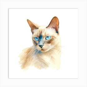 Burmese Platinum Cat Portrait 1 Art Print