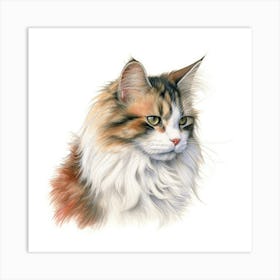 Ragamuffin Cat Portrait Art Print