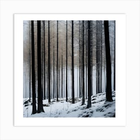 Winter Forest Art Print