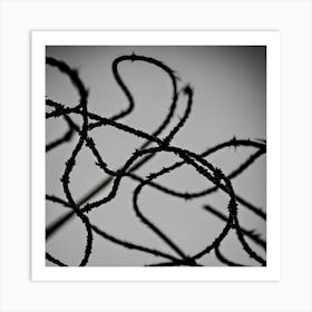 Barbed Wire Art Print