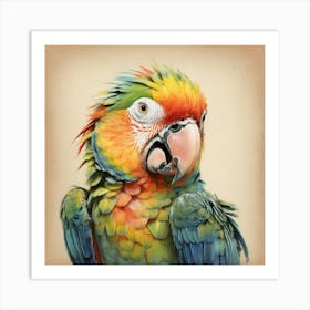 Colorful Parrot Canvas Print 2 Art Print