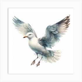 Gull 2 Art Print