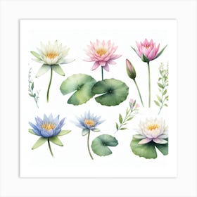 Water lily 1 Art Print