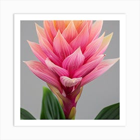 Hawaiian Flower Art Print