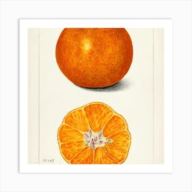 Tangerine Art Print