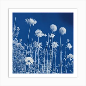 Flowers Photography In Style Anna Atkins (3) Art Print