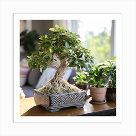 Bonsai Tree Art Print