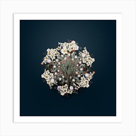 Vintage Narcissus Poeticus Flower Wreath on Teal Blue n.2049 Art Print