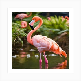 Flamingos In A Pond Art Print